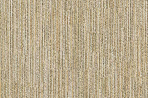 Elevation - True North