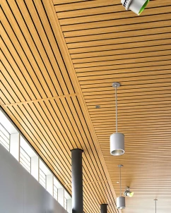 Endure™ Linear 900