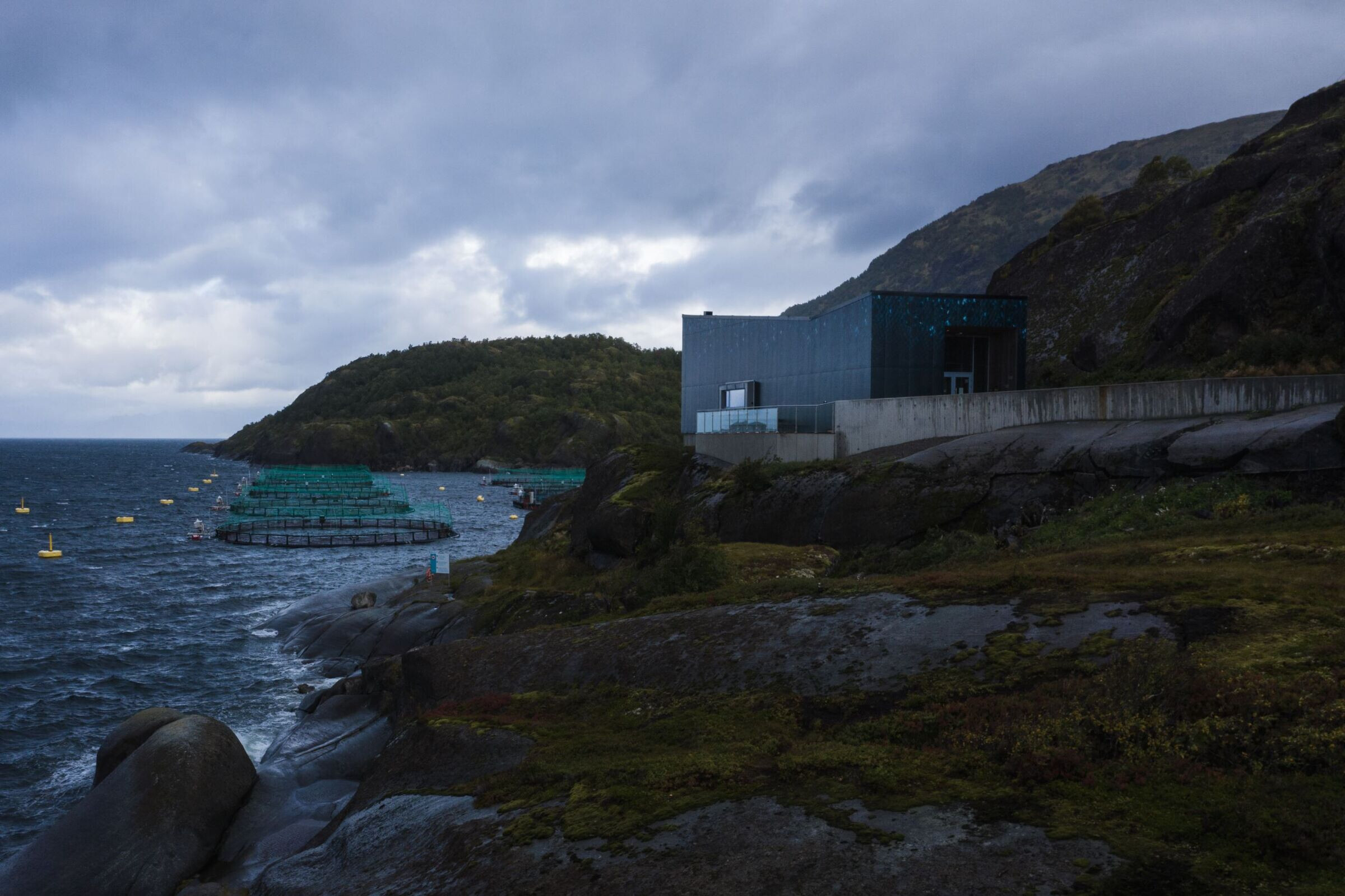 photo_credit Bengt Wikborg Simonsen