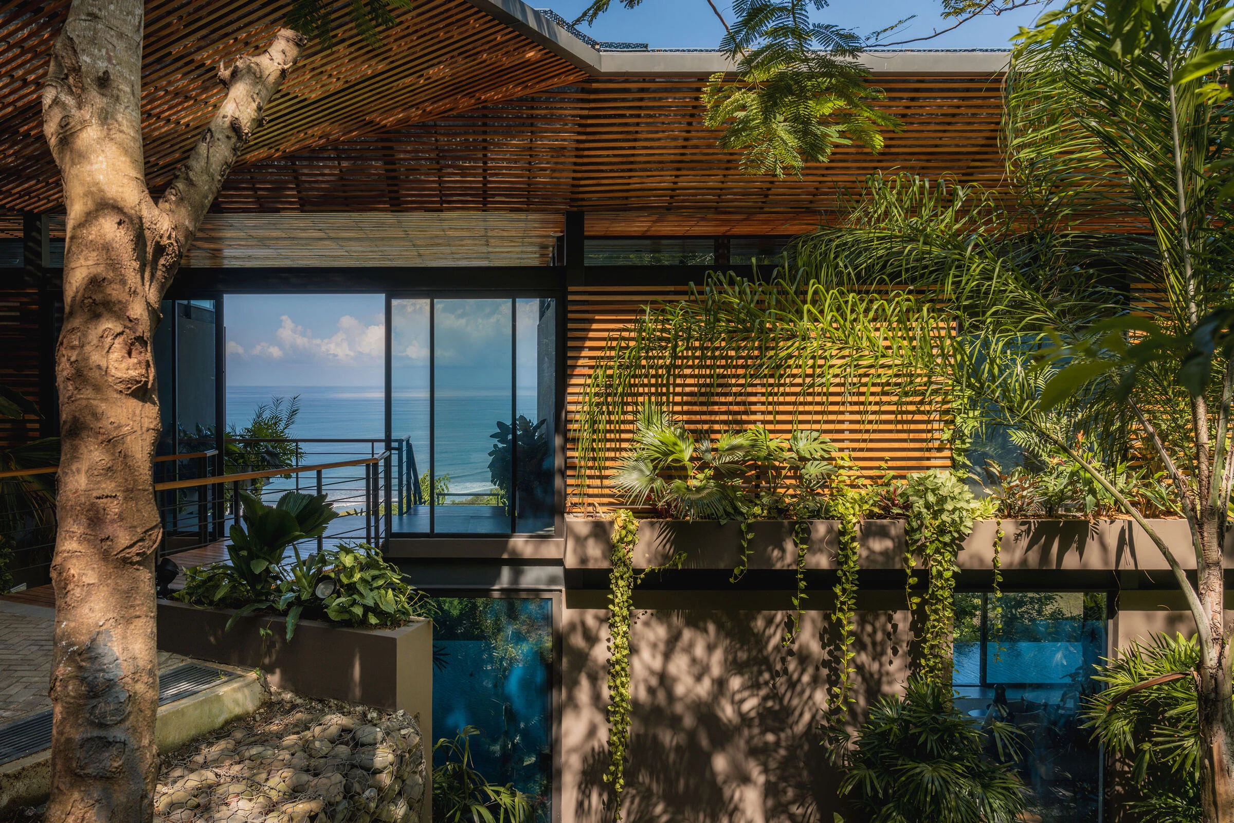 photo_credit &Aacute;lvaro Fonseca