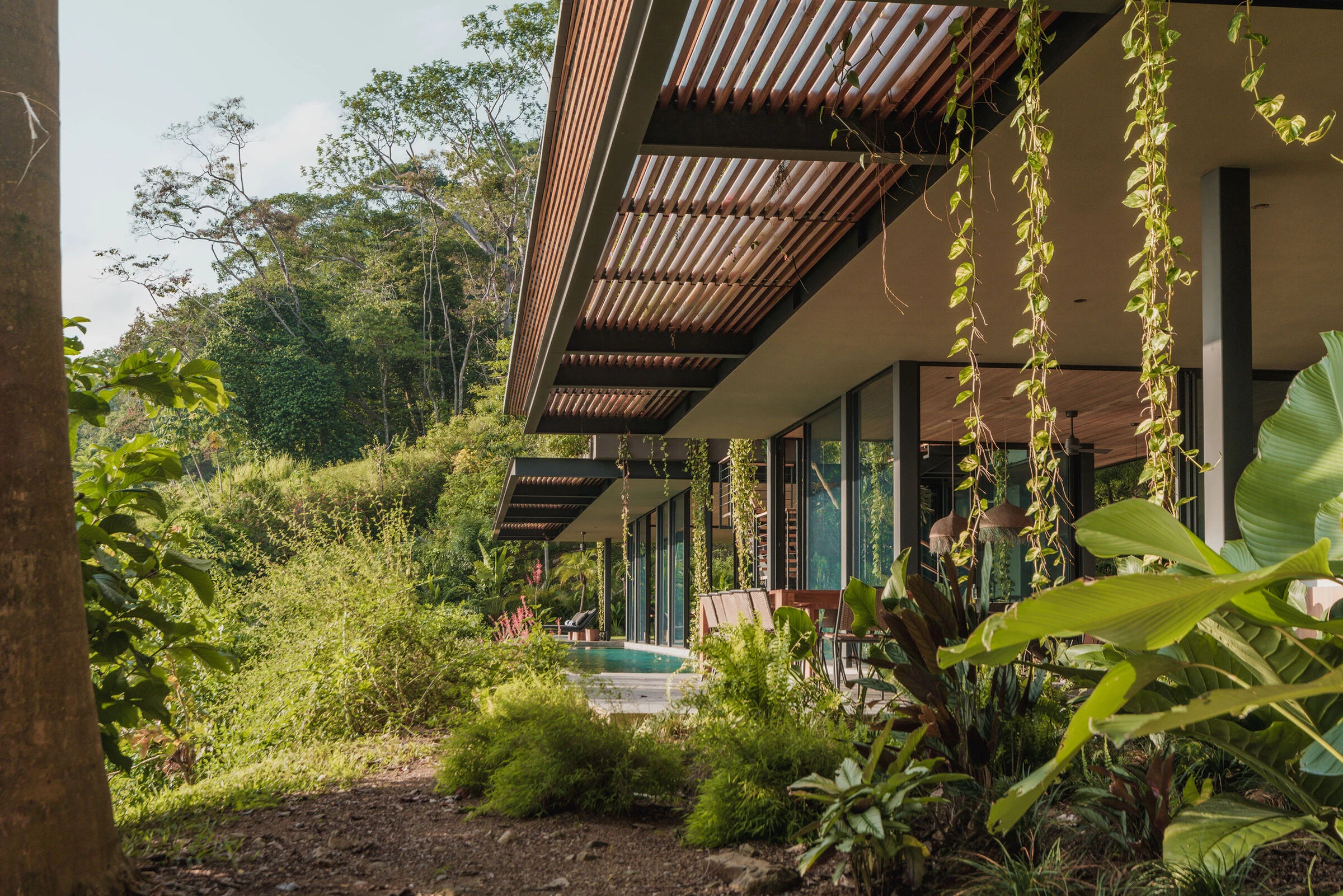 photo_credit &Aacute;lvaro Fonseca